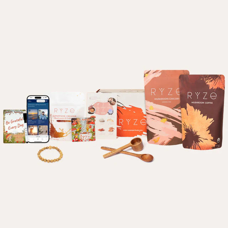 Lasting Energy Bundle (Chicory + Coffee)