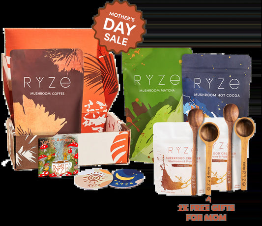 Ultimate Day + Night Bundle: Coffee + Matcha + Cocoa
